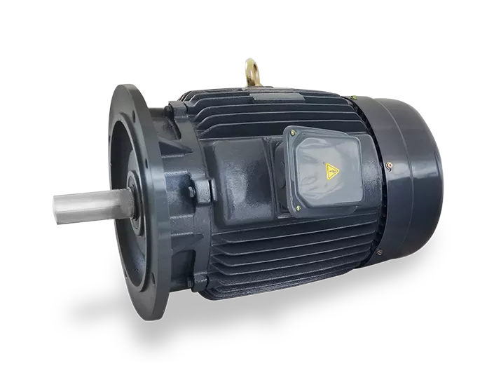 CNS series 3 Phase Asynchronous Motors