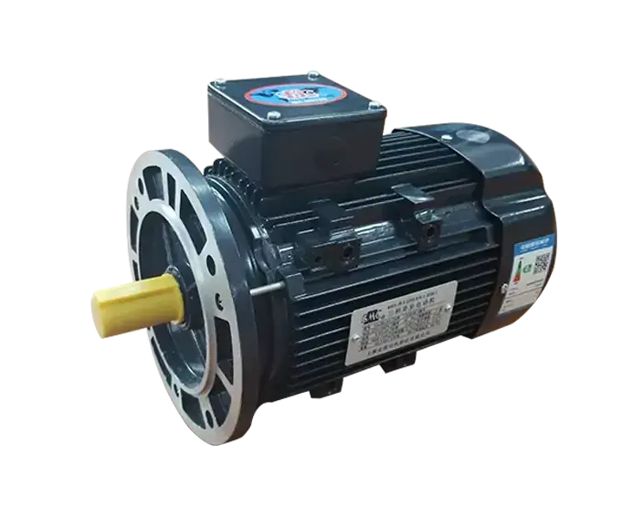 IEC Metric YSJ Series Three-Phase Motors1