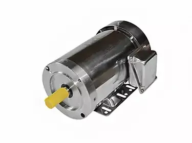 Stainless Steel Motor-3 Phase Washdown Duty-56&145T2