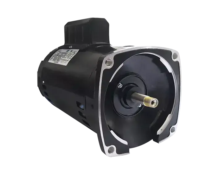 Swimming Pool Pump Motors1