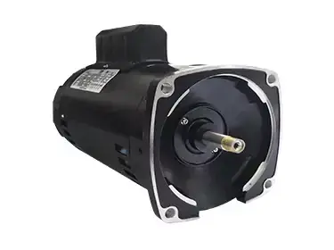 Swimming Pool Pump Motors3