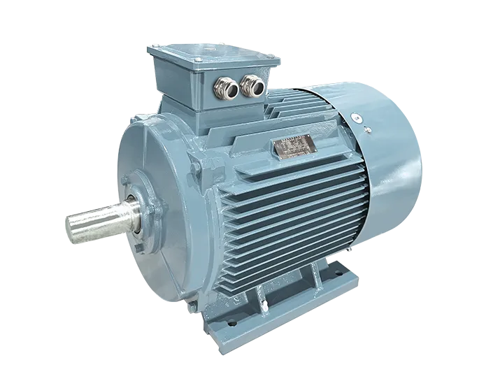 Y-H Series Marine Three-Phase Asynchronous Motors