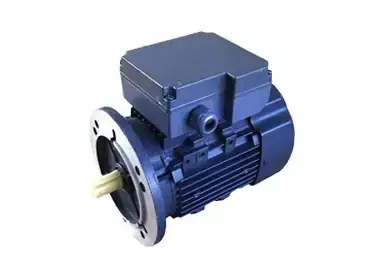 YCJ Series Single-Phase Capacitor-Start Motors2