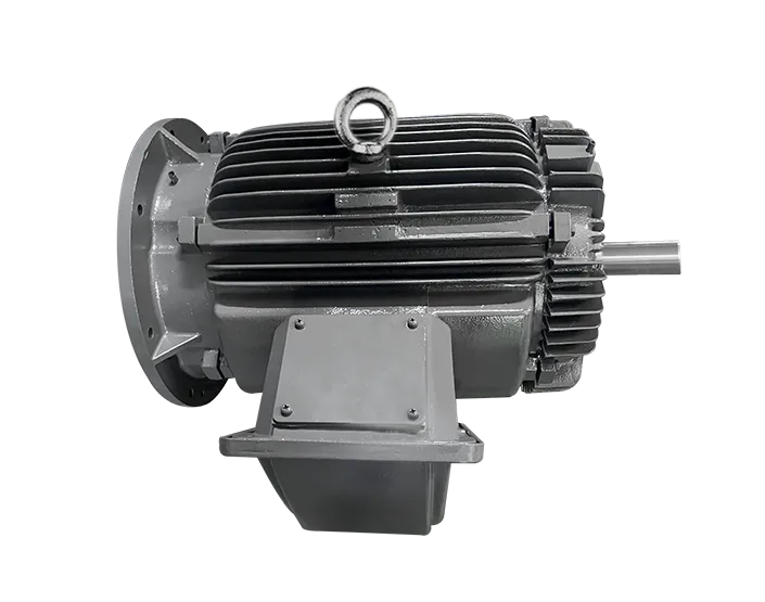 YTX Series Permanent Magnet Synchronous Motor1