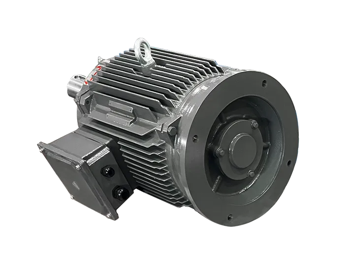 YTX Series Permanent Magnet Synchronous Motor2